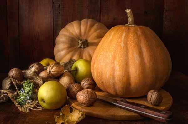 Quels fruits éviter dans l'alimentation d'un caique à tête noire?